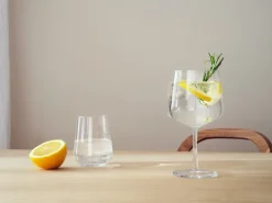 2 Copas de cóctel & gin Essence, 63 cl