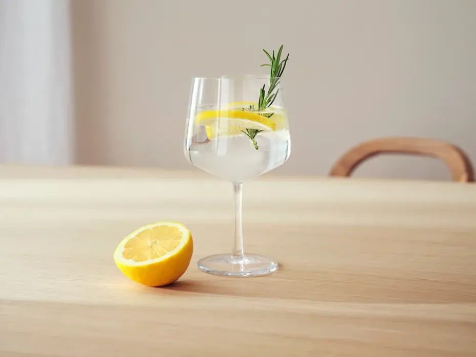 4 Copas de cóctel & gin Essence, 63 cl