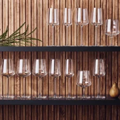 4 Copas de cerveza Essence, set de 4