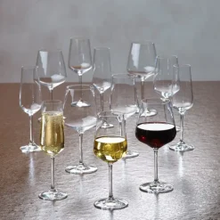 4 Copas de champagne Ovid, set de 4