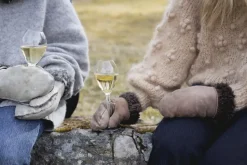 2 Copas de champagne Saga, transparente