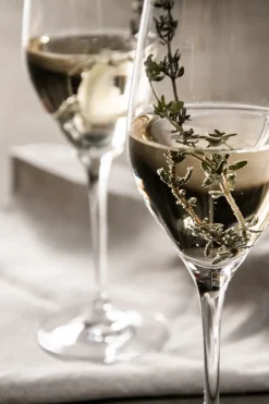 6 Copas de champagne Sense 25,5 cl, Transparente