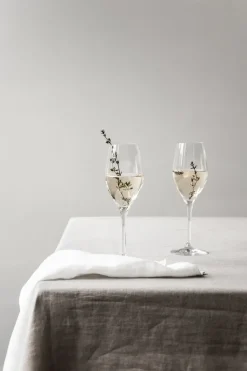 6 Copas de champagne Sense 25,5 cl, Transparente