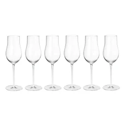 6 Copas de champán Sky 25 cl, Transparente