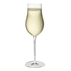 6 Copas de champán Sky 25 cl, Transparente