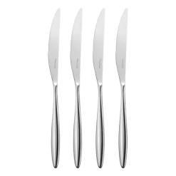 4 Cuchillos de carne Hidcote Bright, acero inoxidable