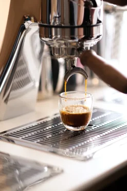 4 Vasos de espressoTroquet 10 cl, Transparente