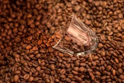 2 Vasos Espresso Noblesse Barista 9 cl, Clear