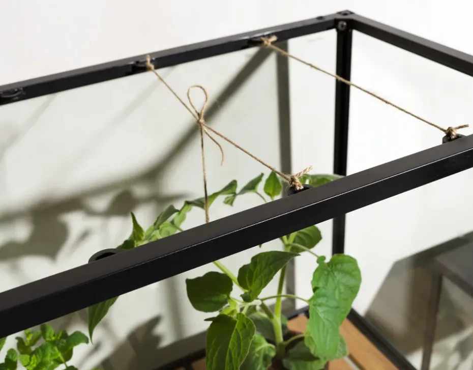 Armario para plantas Grower Greens, Negro, 81x137 cm