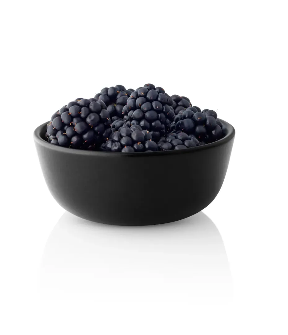 Bol Nordic Kitchen, 0,5 L