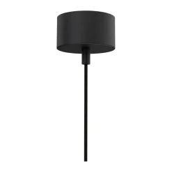 Casquillo de techo Punkt , Negro RAL 9005