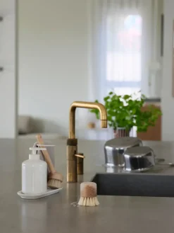 Cepillo para platos Inu, Haya