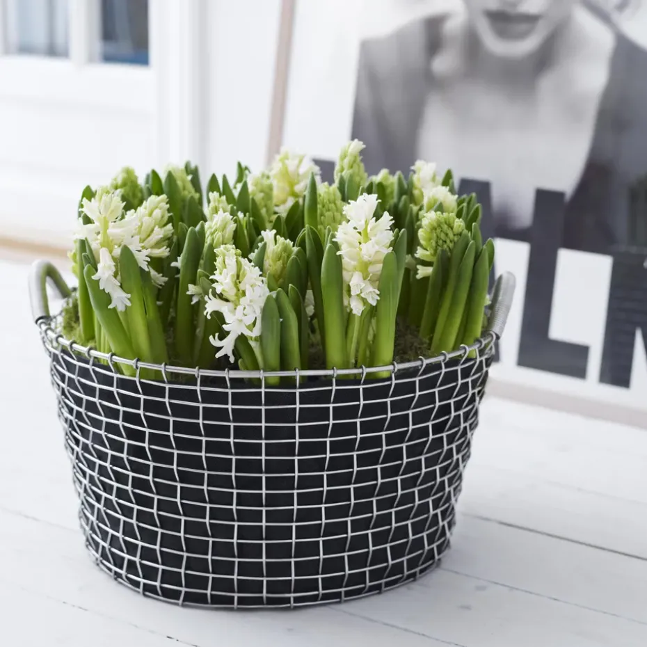 Cesta de alambre Korbo Classic 35, acero galvanizado