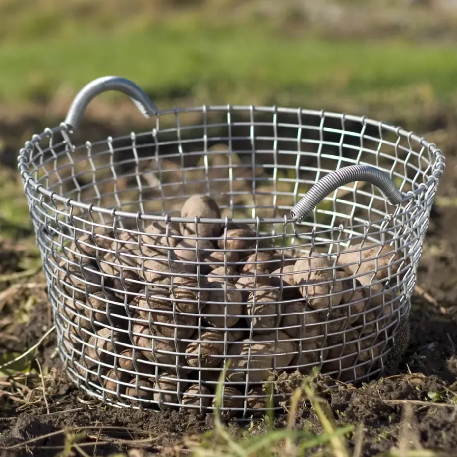 Cesta de alambre Korbo Classic 35, acero galvanizado