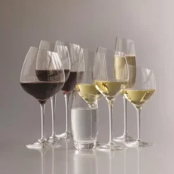 Copa de cava Eva Solo, 1 pieza