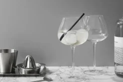 Copa de gin Aroma, 71 cl, 2-pack, Transparente