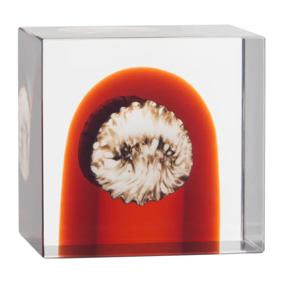 Cubo anual Iittala, 2026