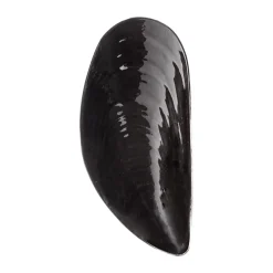 Cuenco M Les Objets Mouleversants Marcel 14x30,5 cm, Black