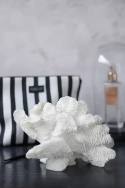 Decoración Coral fan, White