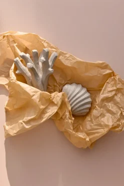 Escultura The Clam Shell 13 cm, Limestone