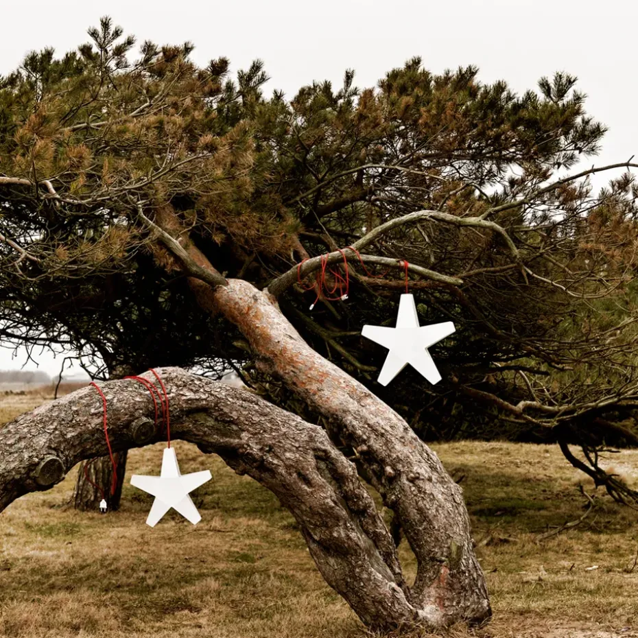Estrella de Adviento Advent Stjärna, Gris, 40 cm, cable de tela gris claro