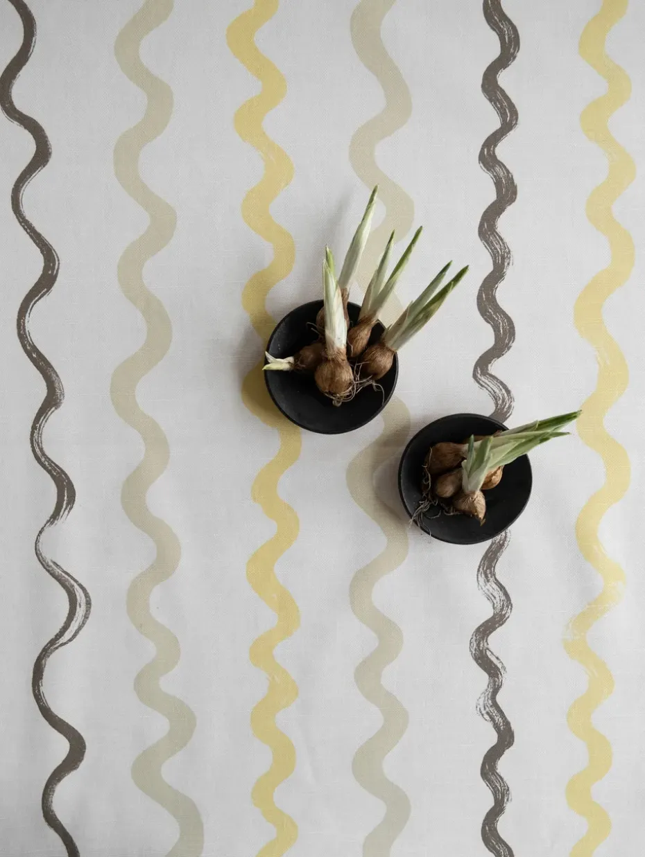 Hule Randig, White-yellow