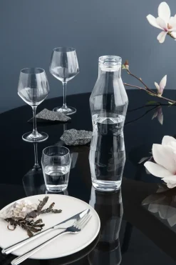 Jarra de agua Perfection 1,1 l, transparente
