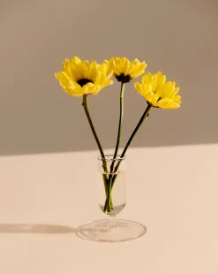 Jarrón Tiny 7 cm, Clear