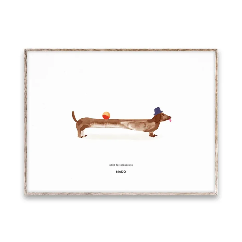 Lámina Doug the Dachshund, 30x40 cm