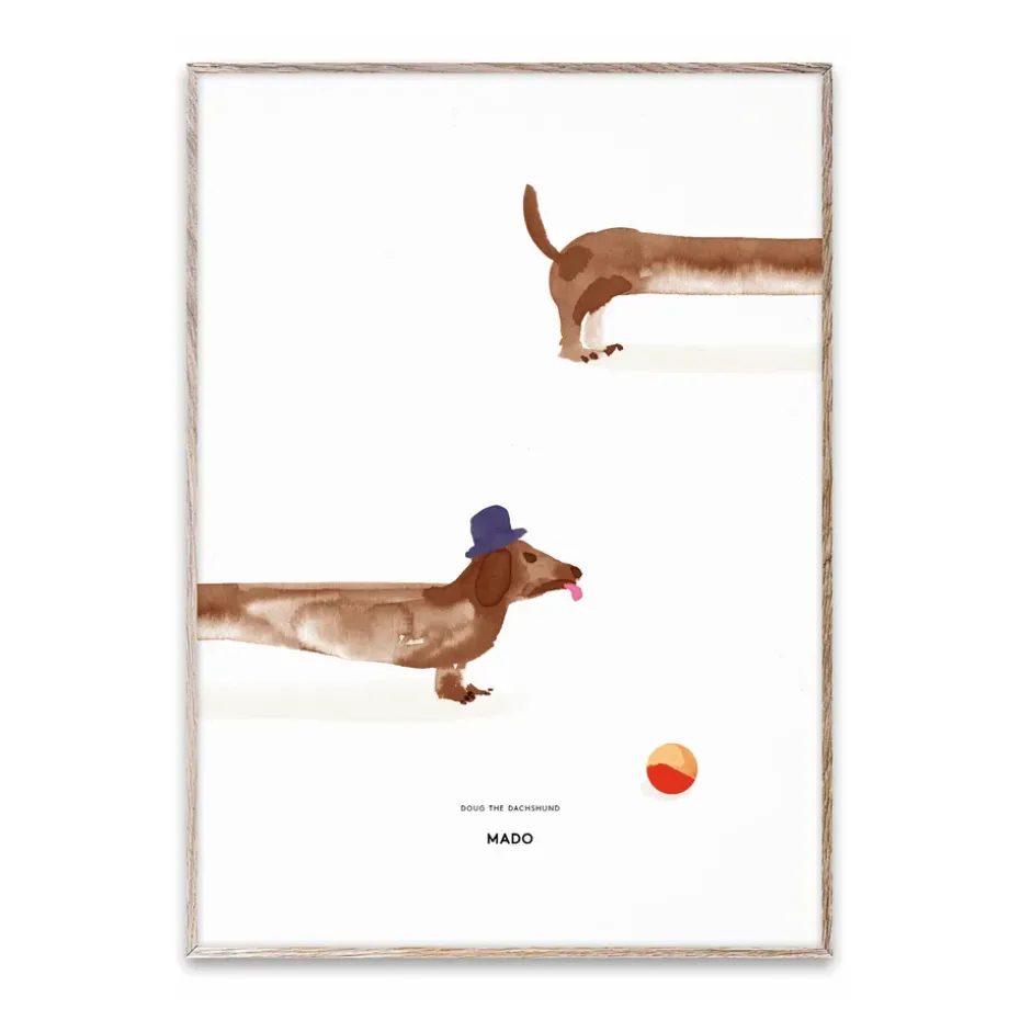 Lámina Doug the Dachshund, 50x70 cm