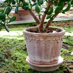Maceta Københavner 21 cm, Rosa