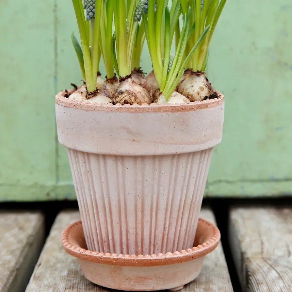 Maceta Simona 14 cm, Rosa
