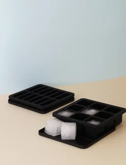Molde para cubitos de hielo con tapa FREEZE-IT, 2,5x19x19 cm