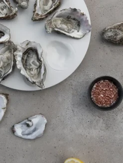 Plato Oyster Ø27 cm, blanco