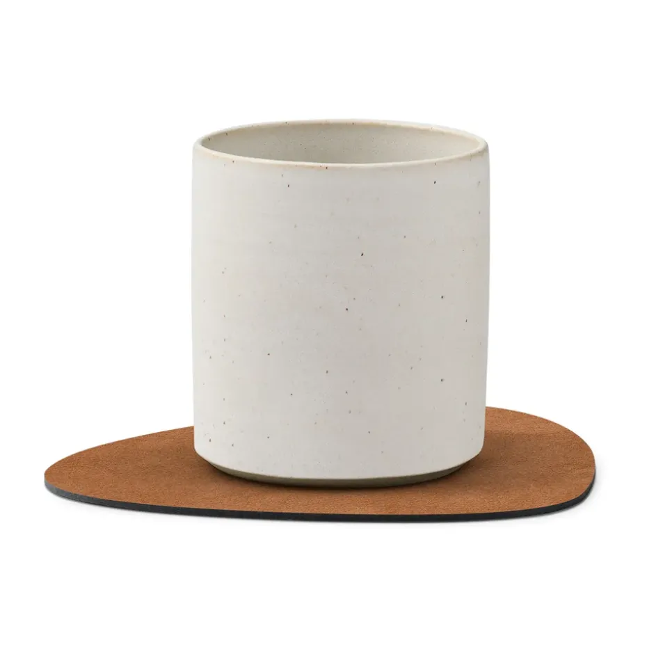 Posavasos Nupo curve, Nature