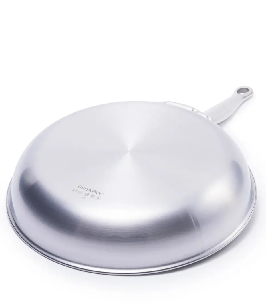 Sartén para freír Premiere, 24 cm