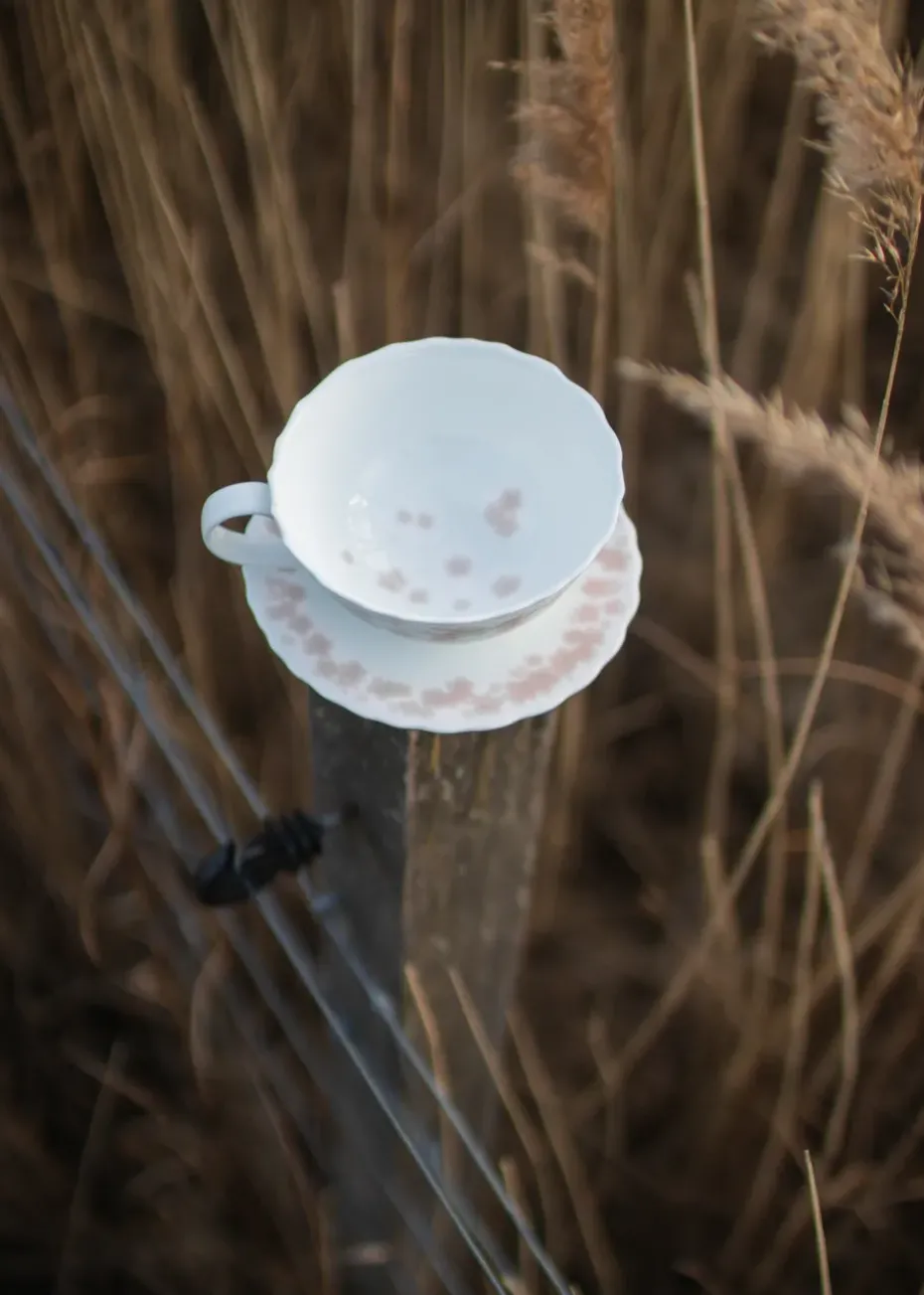 Taza de té y plato Slåpeblom 30 cl, Rosa