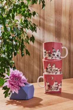 Taza Mumin rosa especial, 40 cl