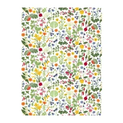 Tela Hedemora, Multi