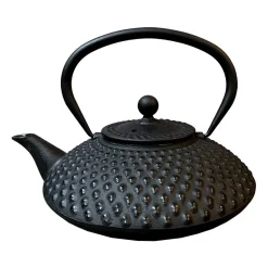 Tetera Satake ovalada 1,2 l, Negro