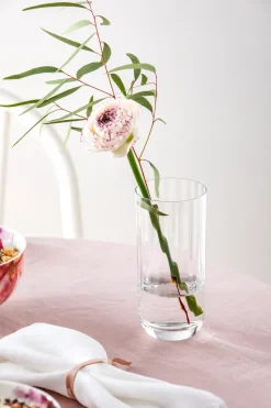 Vaso alto Rose Garden 45 cl 4 unidades, Transparente
